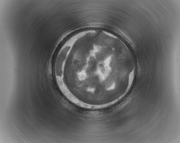 X0000113920883200910221351