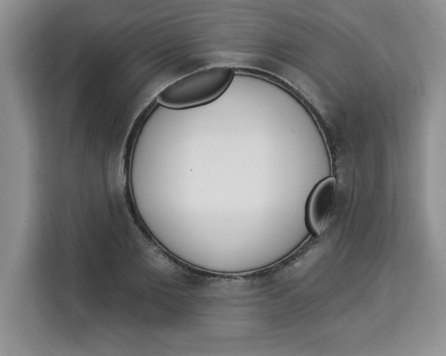 X0000113920885200910221351