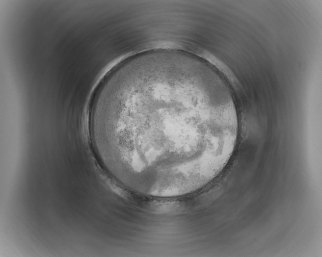 X0000113920886200910221351