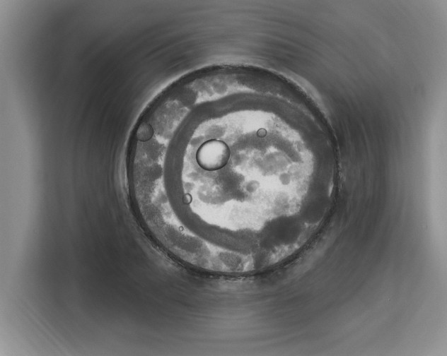 X0000113920887200910221351