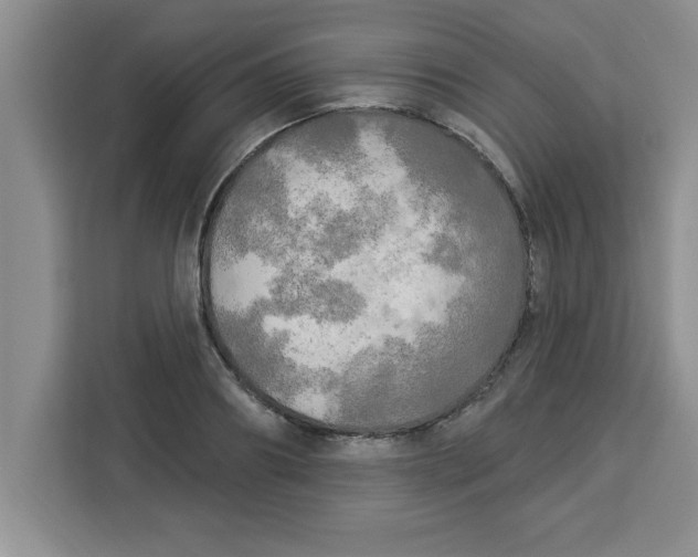 X0000113920890200910221351