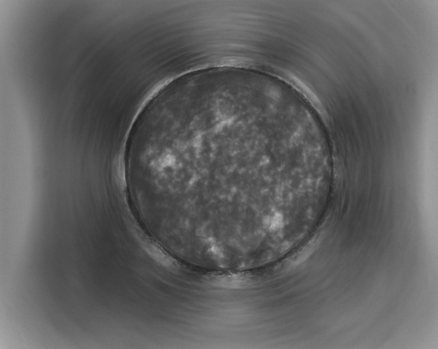 X0000113920891200910221351