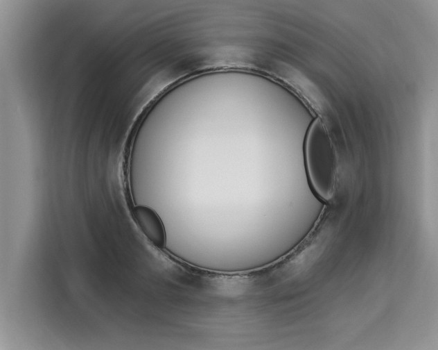 X0000113920893200910221351