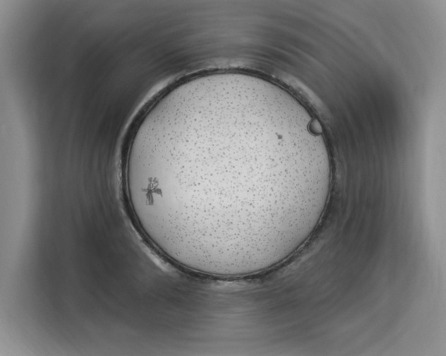 X0000113920894200910221351