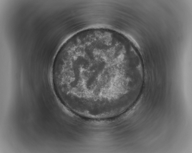 X0000113920895200910221351