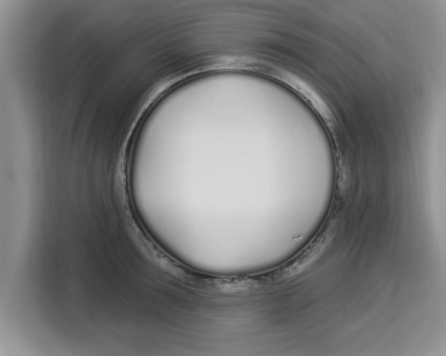 X0000113920899200910221351