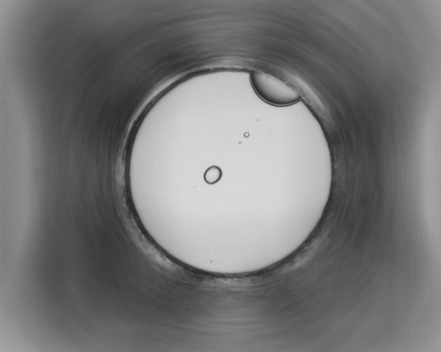 X0000113920900200910221351