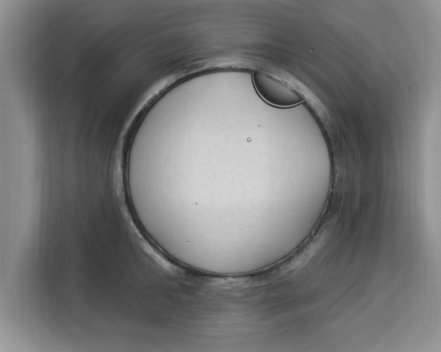 X0000113920902200910221351