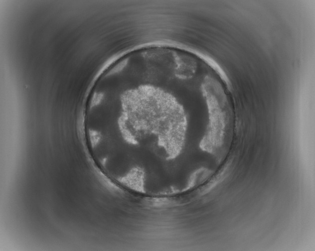 X0000113920903200910221351