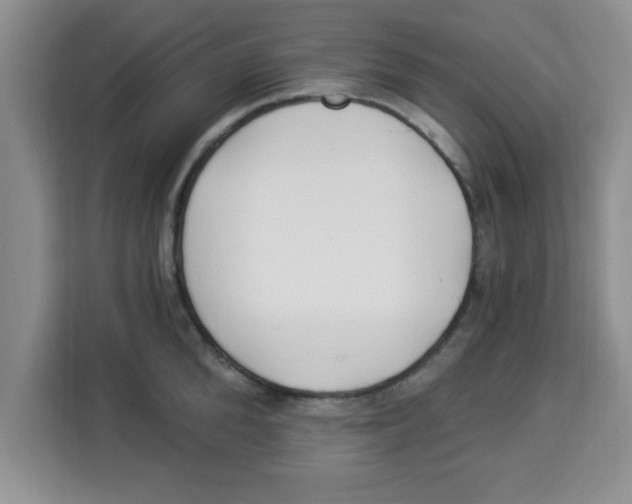 X0000113920904200910221351
