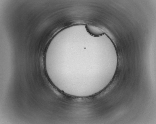 X0000113920906200910221351