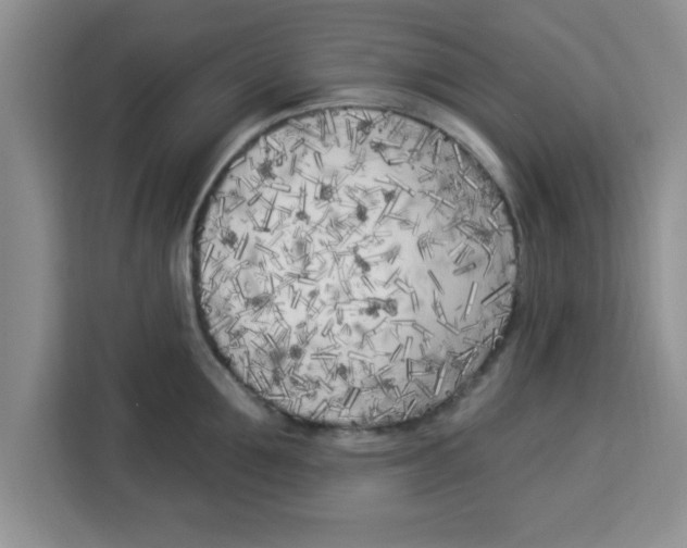 X0000113920907200910221351