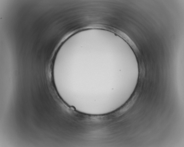 X0000113920908200910221351