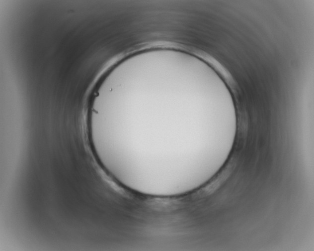 X0000113920910200910221351