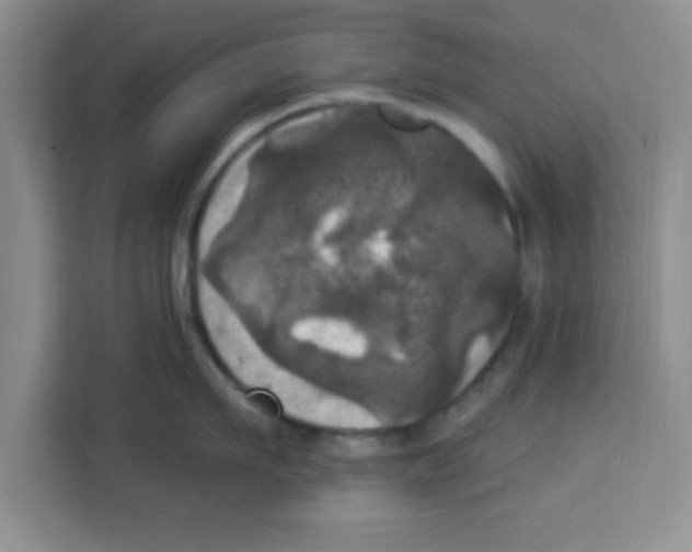 X0000113920911200910221351