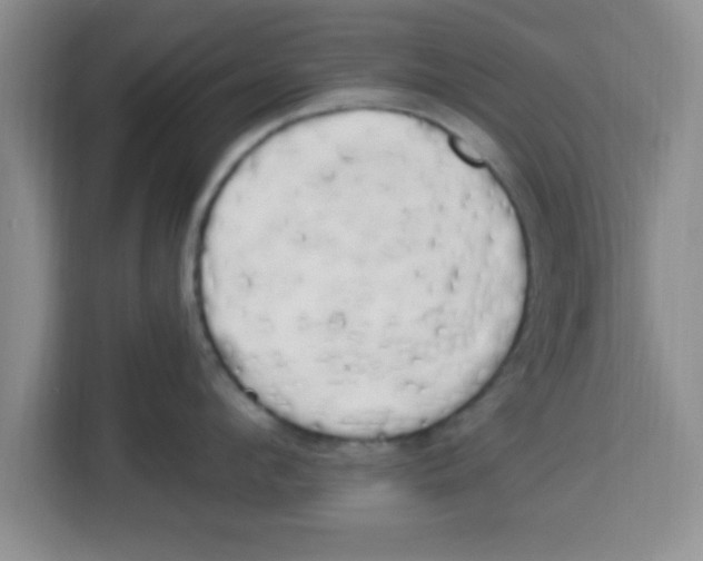 X0000113920912200910221351