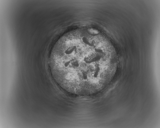 X0000113920913200910221350