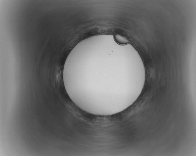 X0000113920914200910221350