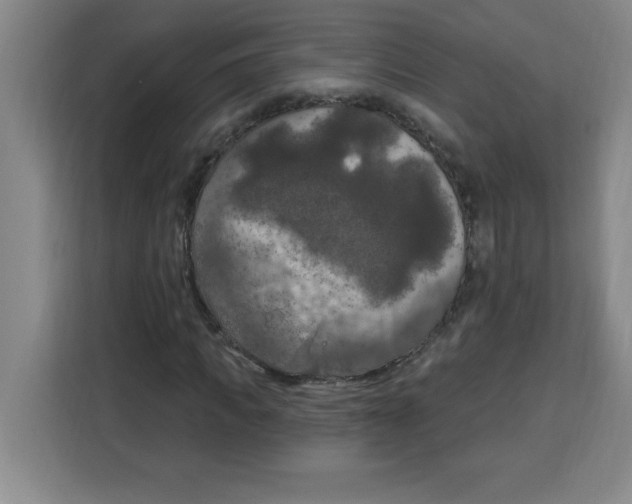 X0000113920917200910221350