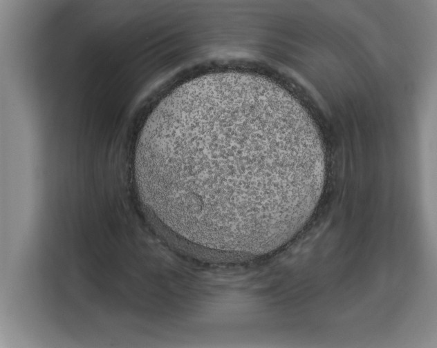X0000113920919200910221350