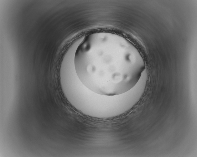 X0000113920920200910221350