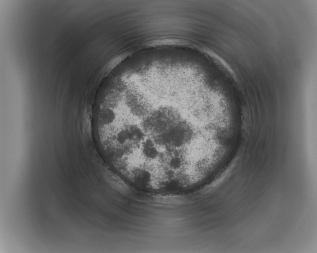 X0000113920921200910221350