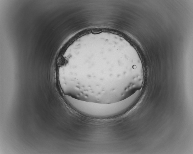X0000113920925200910221350