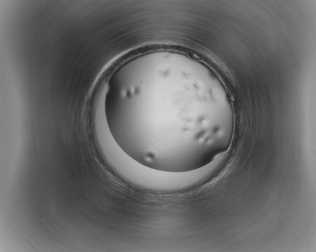 X0000113920926200910221350