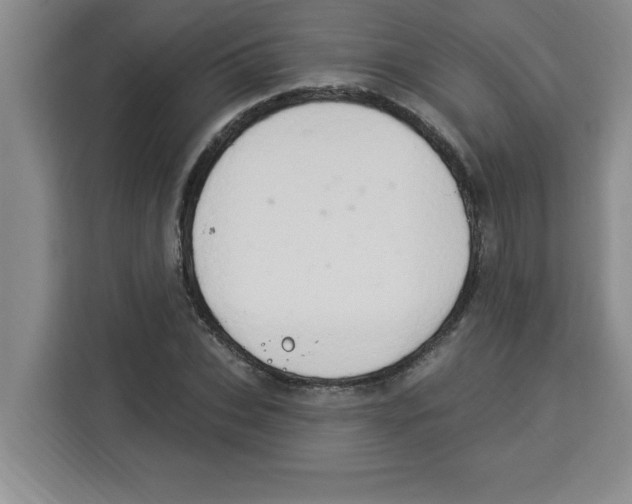 X0000113920927200910221350