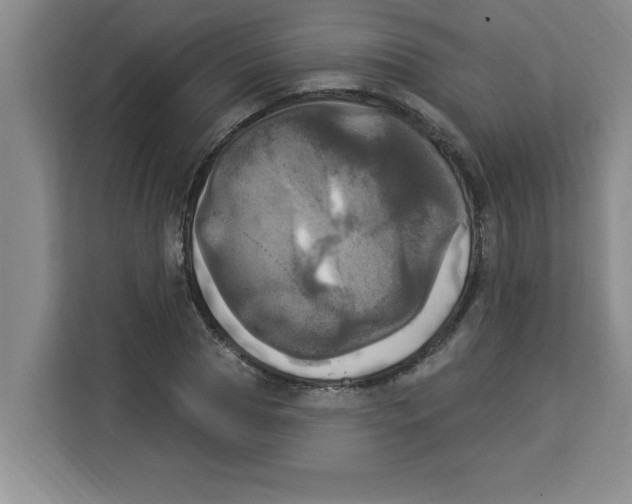 X0000113920929200910221350