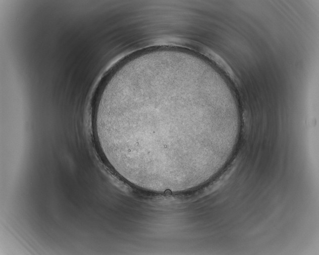 X0000113920931200910221350