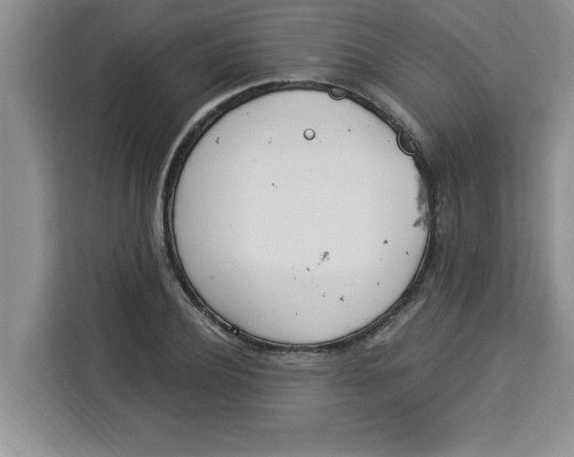 X0000113920932200910221350