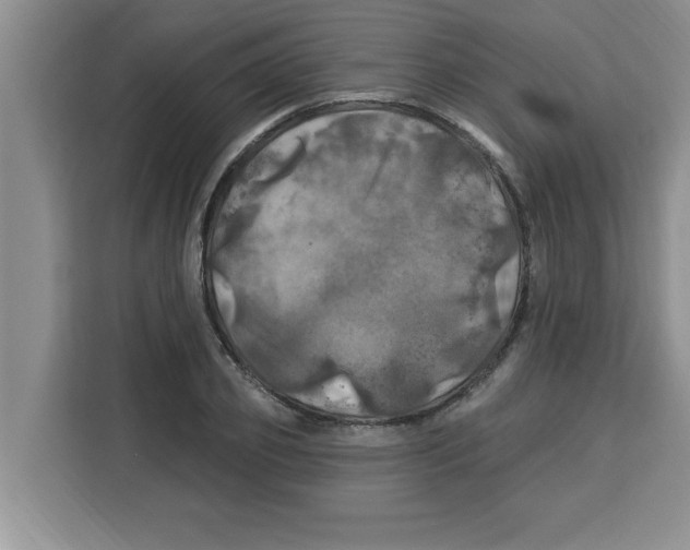 X0000113920933200910221350