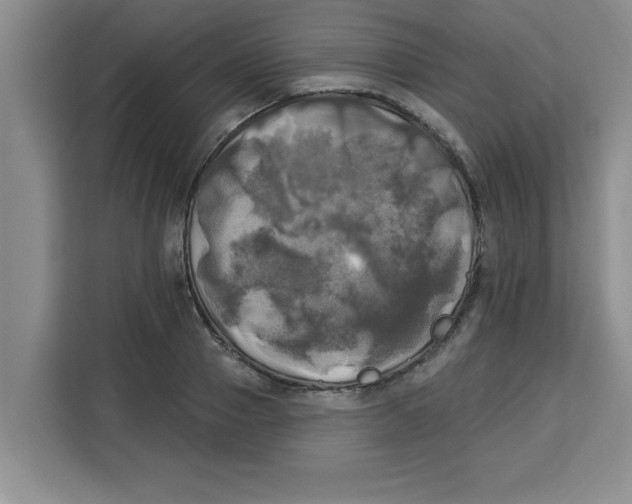 X0000113920937200910221350