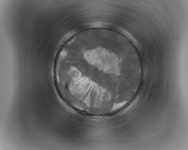 X0000113920938200910221351