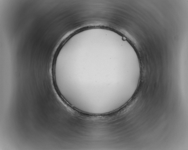 X0000113920943200910221351