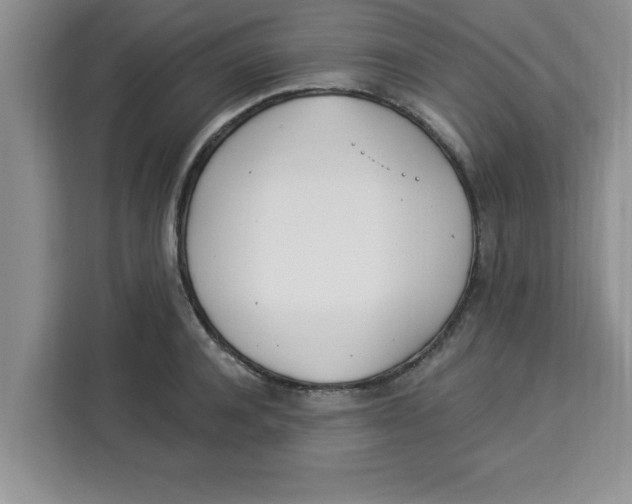 X0000113920944200910221351