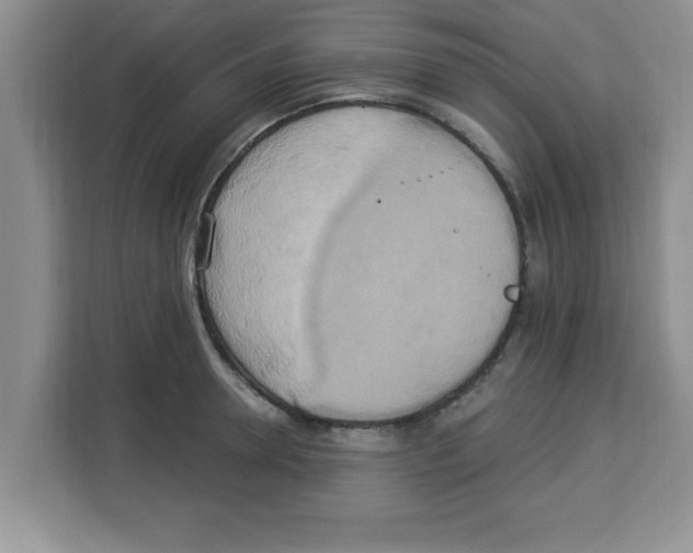 X0000113920946200910221351