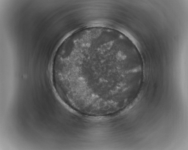 X0000113920949200910221351