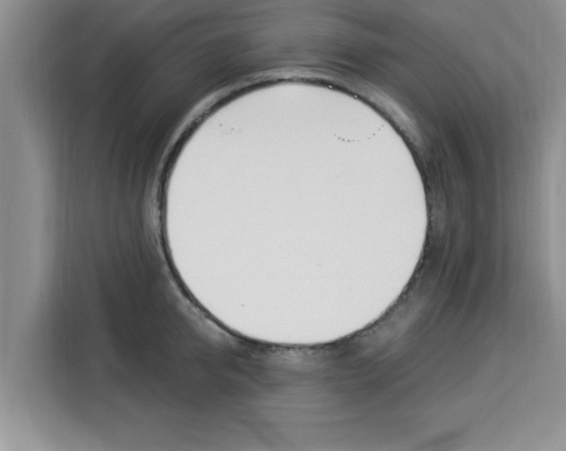 X0000113920950200910221351