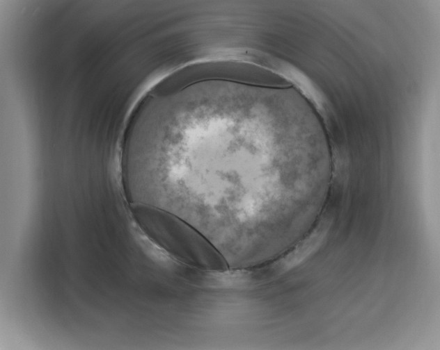 X0000113920952200910221351
