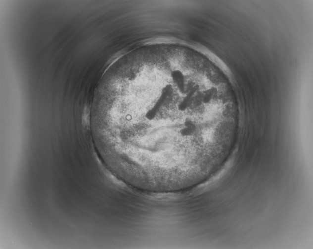 X0000113920953200910221351