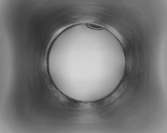 X0000113920956200910221351