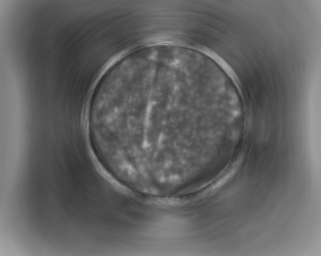 X0000113920957200910221351