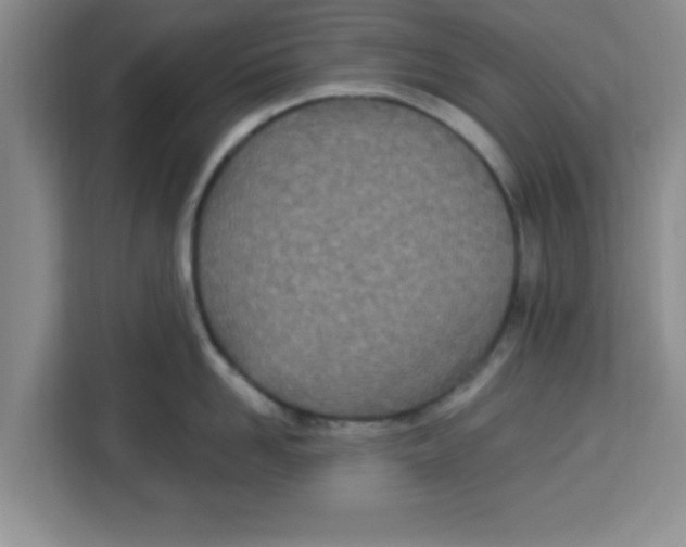 X0000113920958200910221351