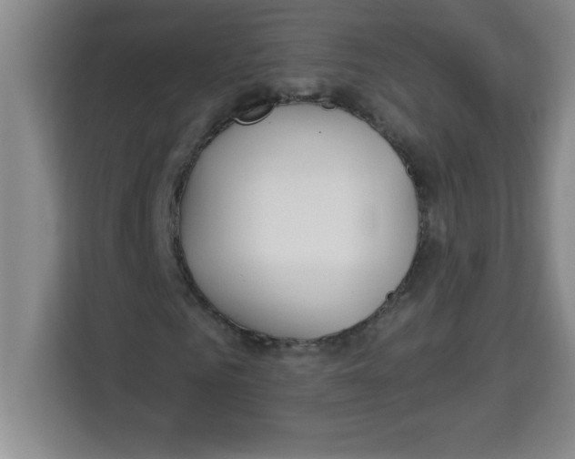 X0000113920961200910221350