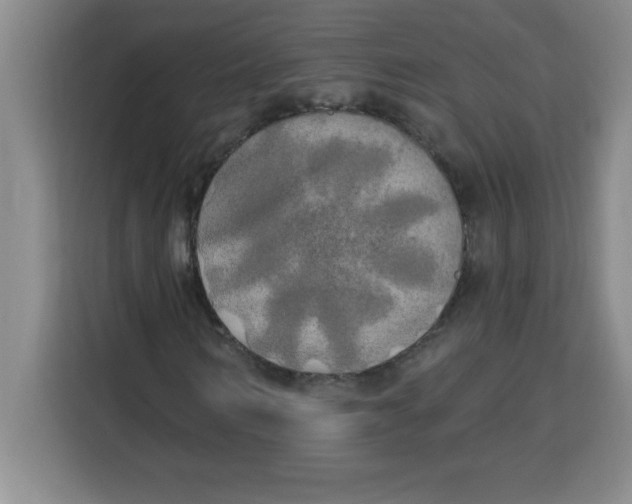 X0000113920962200910221350