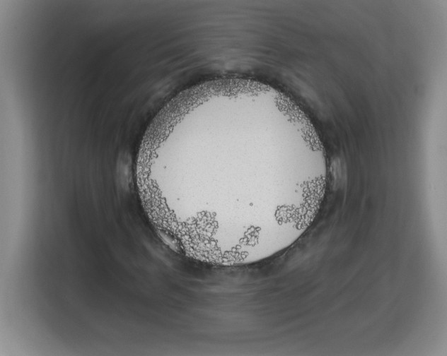 X0000113920963200910221350