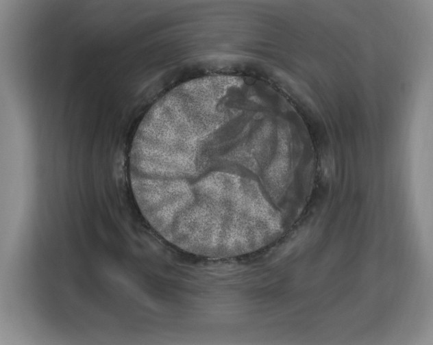 X0000113920964200910221350