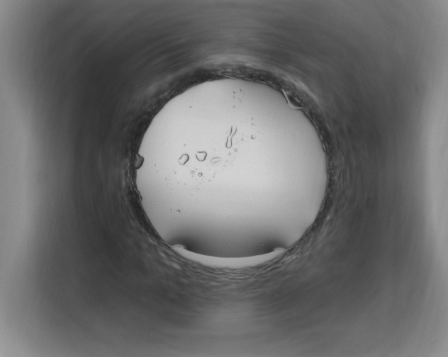 X0000113920965200910221350